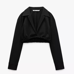 Zara Shirt Style Crop Top NWT